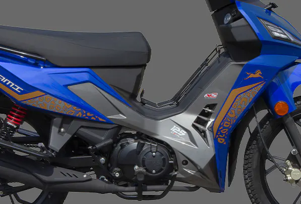 TVS NEO