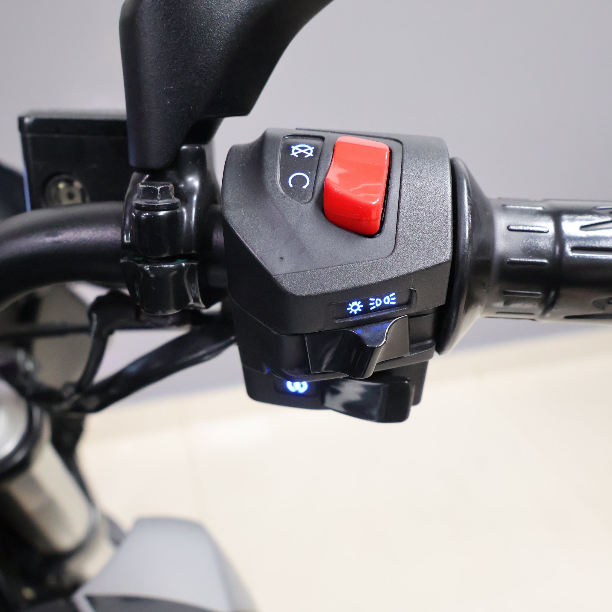 BAJAJ DOMINAR 250 2024 A206NFO