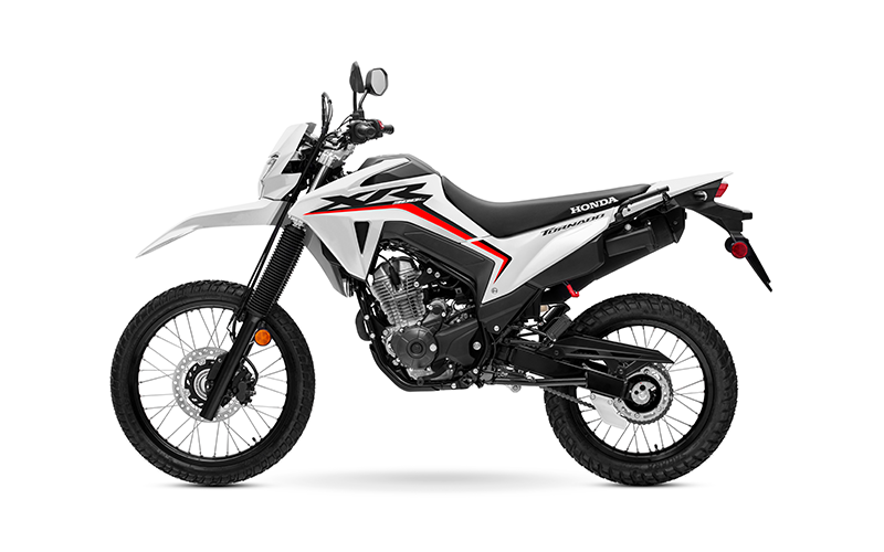 HONDA TORNADO 300