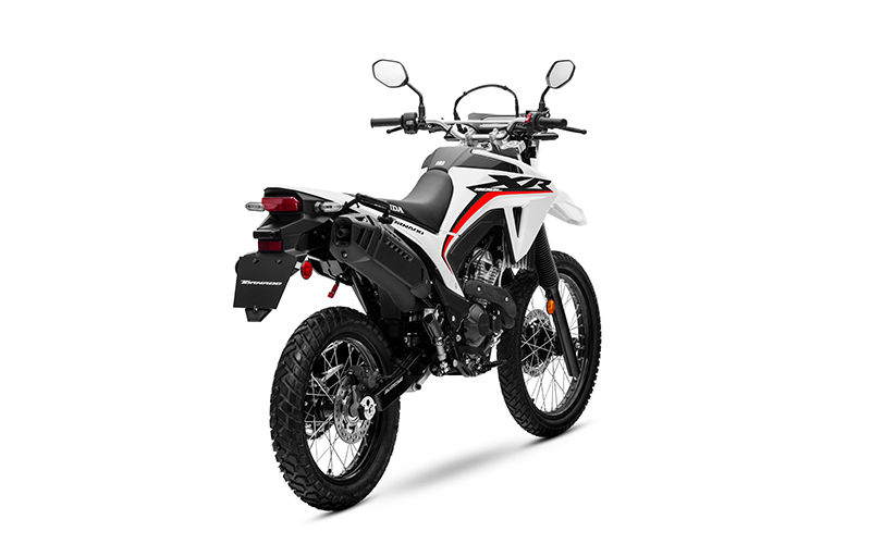 HONDA TORNADO 300