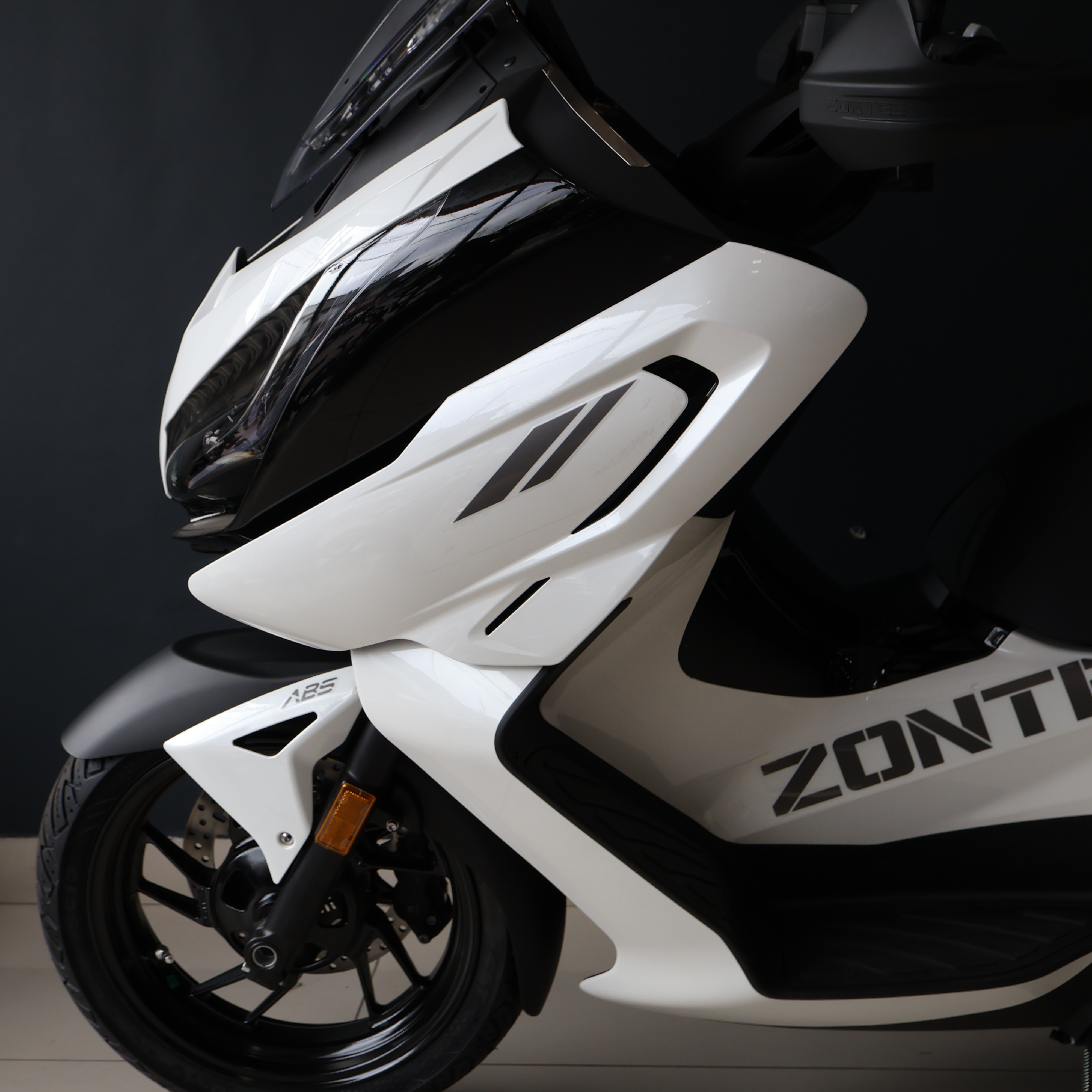 ZONTES E 368